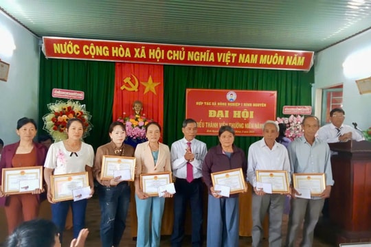 Hợp tác xã Nông nghiệp 1 Bình Nguyên phát triển theo chuỗi giá trị