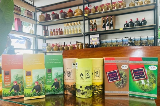 Công nghệ và tri thức địa phương: Vì sao “chuyển giao nhỏ” lại tạo thay đổi lớn?