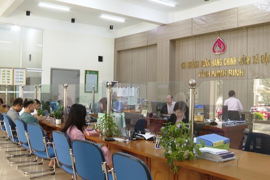 Tín dụng chính sách mở đường sinh kế bền vững ở Ninh Bình