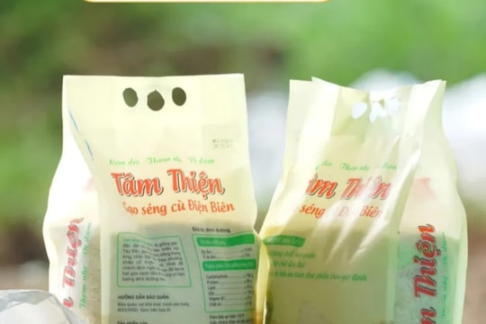 Tổ chức lại sinh kế từ cộng đồng: Câu chuyện của HTX Tâm Thiện