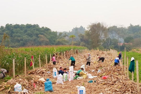 Phường Bắc Kạn phát huy mô hình hợp tác xã trong giảm nghèo bền vững