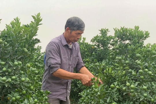 Bức tranh giảm nghèo bền vững ở Quảng Ninh