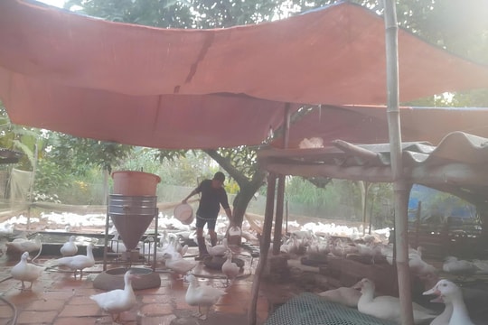 Tây Ninh hướng tới mục tiêu năm 2030 không còn hộ nghèo