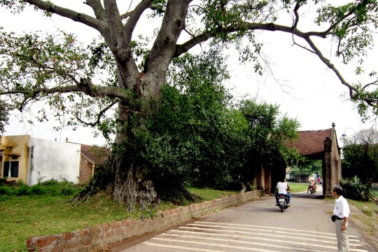 Phát huy văn hóa truyền thống gắn với du lịch nông thôn