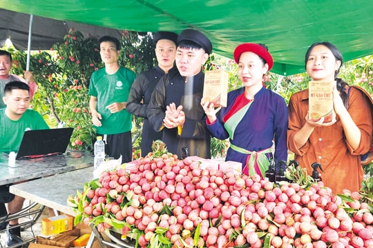 Chuyển đổi số mở lối tiêu thụ nông sản vùng đồng bào dân tộc thiểu số