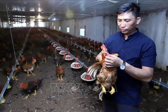 Đổi mới tư duy sản xuất nông nghiệp từ thực tiễn Hưng Yên