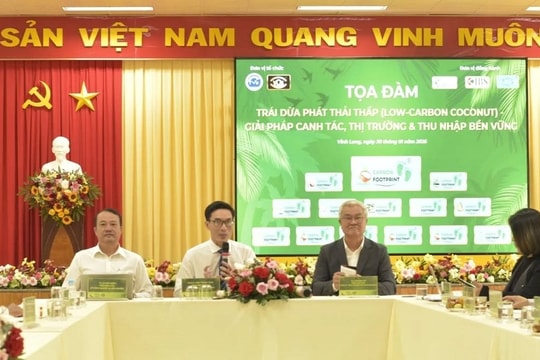 Vĩnh Long: Tìm kiếm giải pháp cho sự phát triển bền vững ngành dừa