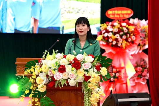 Khánh Hòa tăng cường quản lý, bảo vệ chim yến trước nguy cơ suy giảm nghiêm trọng