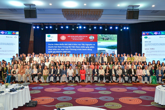 The RECAF project: Solutions for forest protection and rural livelihood improvement