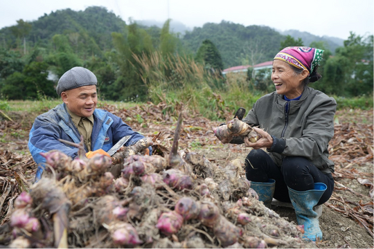 Khởi động dự án RECAF 102,5 triệu USD bảo vệ rừng và sinh kế nông thôn