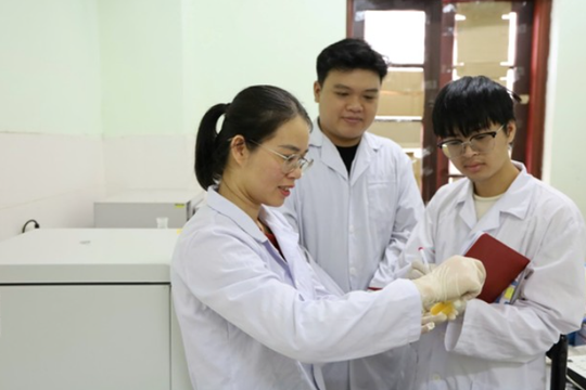 Từ phụ phẩm thủy sản đến viên nang công nghệ cao: Khi khoa học đánh thức tiềm năng vảy cá và hạt Sachi