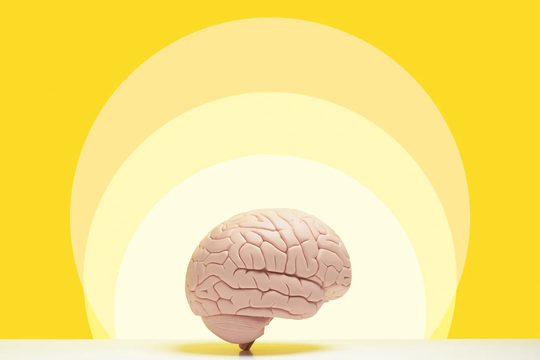 ‏Rèn luyện trí não được ghi nhận giúp cải thiện hiệu quả đáp ứng vắc-xin‏