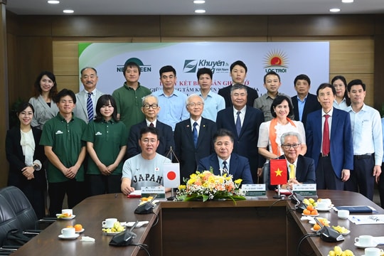 JICA hỗ trợ sản xuất lúa bằng công nghệ cao tại Đồng bằng sông Cửu Long