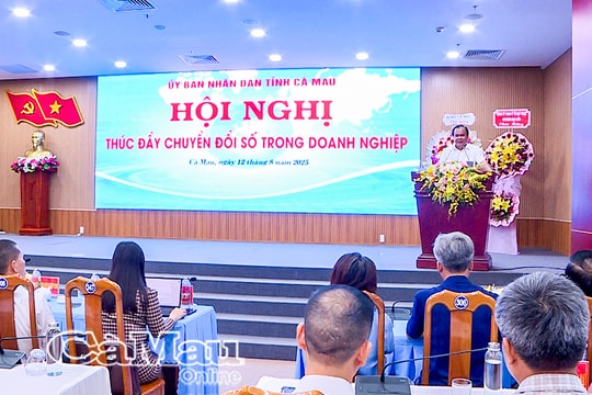Cà Mau đặt mục tiêu 3.000 doanh nghiệp được hỗ trợ tiếp cận công nghệ số và AI