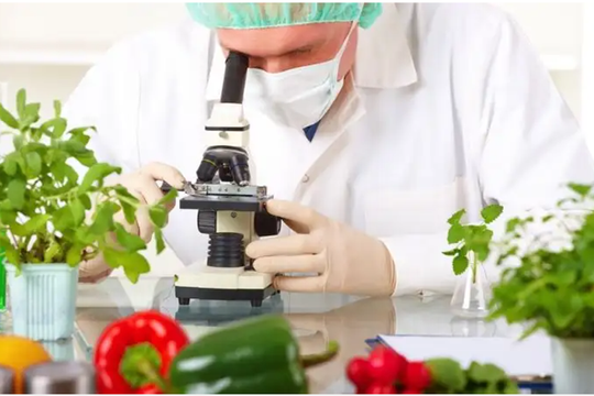 Công nghệ nano “tiếp sức” phát triển nông nghiệp xanh