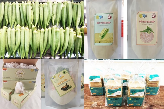 Giá trị dinh dưỡng lớn từ khai thác vỏ và hạt đậu bắp