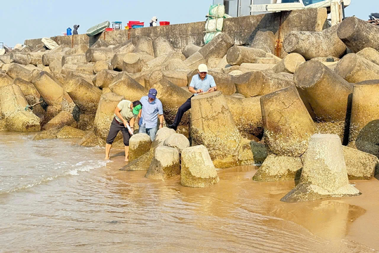 Tái chế thành công xỉ thép Formosa thành cốt liệu cho bê tông phục vụ công trình bảo vệ bờ biển
