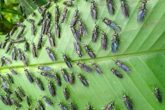 Từ “gánh nặng” rác thải đến “thặng dư sinh thái”: Bài toán văn hóa và tài chính của doanh nghiệp môi trường