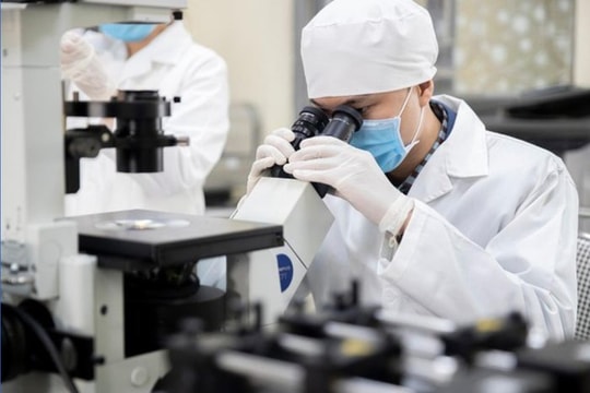 Đánh giá theo kết quả: Thước đo mới cho tổ chức trung gian trong hệ sinh thái đổi mới sáng tạo