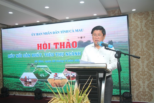Cà Mau: Tăng cường ứng dụng công nghệ để kết nối sản xuất và tiêu thụ lúa gạo