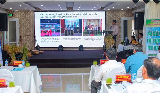 Cà Mau: Tìm kiếm giải pháp công nghệ xây dựng thương hiệu và phát triển bền vững lúa gạo