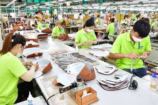 Vĩnh Long công nhận 62 giải pháp có hiệu quả áp dụng, khả năng nhân rộng