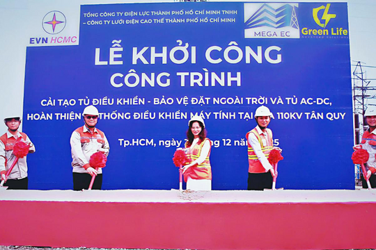 Năng lực làm chủ các dự án kỹ thuật phức tạp trong lĩnh vực điện lực của doanh nghiệp Việt Nam