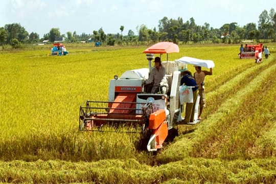 Chế phẩm BIO-RA mở hướng canh tác lúa tuần hoàn ở Hà Tĩnh