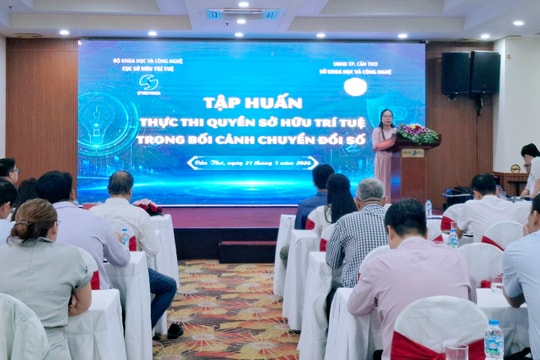 Cần Thơ hướng dẫn nhận diện hành vi xâm phạm quyền SHTT đối với các sáng chế