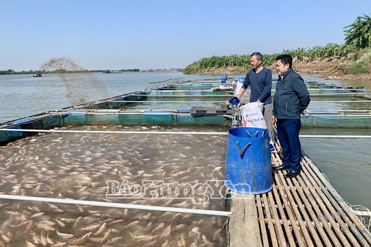 Sở Nông nghiệp và Môi trường Hưng Yên thúc đẩy phát triển thủy sản theo hướng hiện đại, bền vững