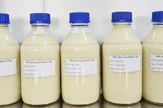 Các nhà khoa học tìm cách “đánh thức” hoạt chất rutin