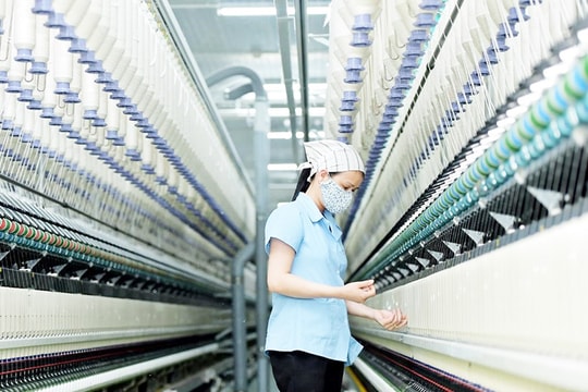 QUATEST 3 được chỉ định giám định, chứng nhận sản phẩm dệt may