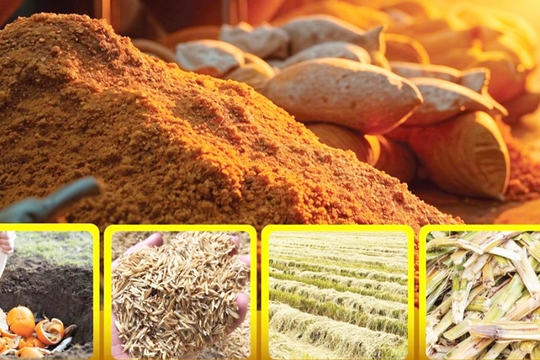 Nông sản Việt lên giá trị nhờ công nghệ và kinh tế tuần hoàn