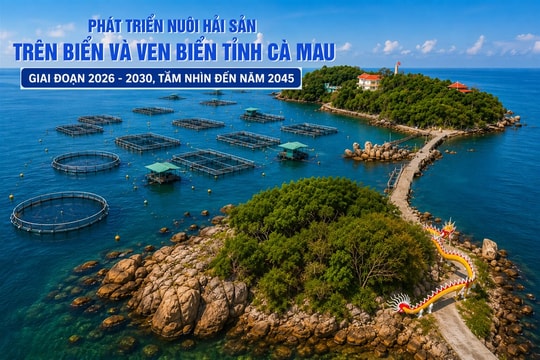 Cà Mau thực hiện nhiều giải pháp KHCN, chuyển đổi số để phát triển nuôi biển