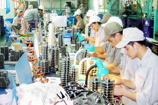 Đồng Tháp phấn đấu có ít nhất 20 SME tiêu biểu về chuyển đổi số trong các ngành trọng điểm