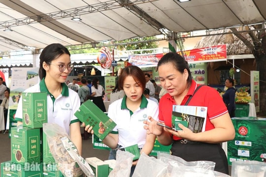 Đắk Lắk phấn đấu đến năm 2030 vươn lên top 15 cả nước về đổi mới sáng tạo
