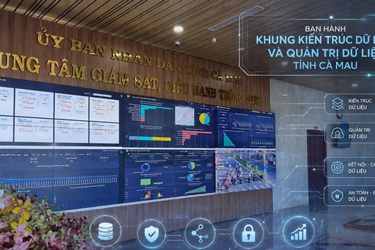 Cà Mau ban hành Khung kiến trúc dữ liệu để quản trị phát triển