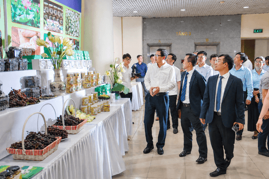551 dự án, 1.426 mô hình ứng dụng tiến bộ KH&CN được triển khai tại nông thôn, miền núi
