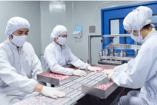 TP. HCM công nhận 21 sáng kiến có phạm vi ảnh hưởng toàn thành phố