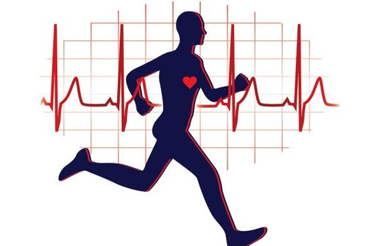 Tập thể dục giúp "định hình" lại hệ thần kinh tim