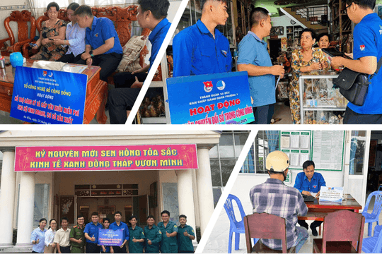 Đồng Tháp hỗ trợ DN mới, hộ kinh doanh, HTX, chủ thể OCOP, giới trẻ hiện diện trực tuyến tin cậy với tên miền “.vn”