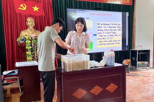 Từ chất thải chăn nuôi đến nguồn phân bón: Hướng đi xanh tại xã Bum Tở, Bum Nưa, tỉnh Lai Châu