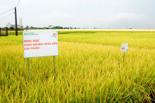Chủ tịch HĐQT Trần Mạnh Báo: ThaiBinh Seed đặt khoa học và công nghệ ở vị trí trung tâm của chiến lược phát triển