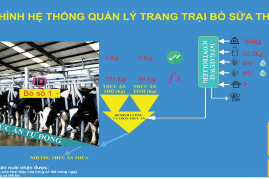 Xây dựng hệ thống giám sát và điều khiển tự động cho trang trại bò sữa sử dụng công nghệ Internet vạn vật