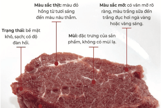 Xây dựng, quản lý và phát triển nhãn hiệu chứng nhận “Bò Tây Ninh”