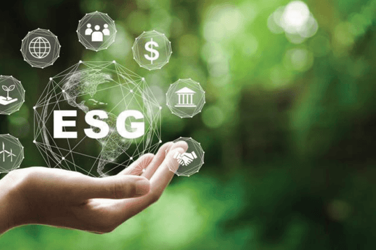 Thực thi ESG: Cơ hội để doanh nghiệp Việt Nam phát triển bền vững