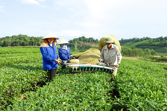 Phát triển chuỗi giá trị du lịch nông thôn Nghệ An: Từ tiềm năng đến mô hình liên kết bền vững