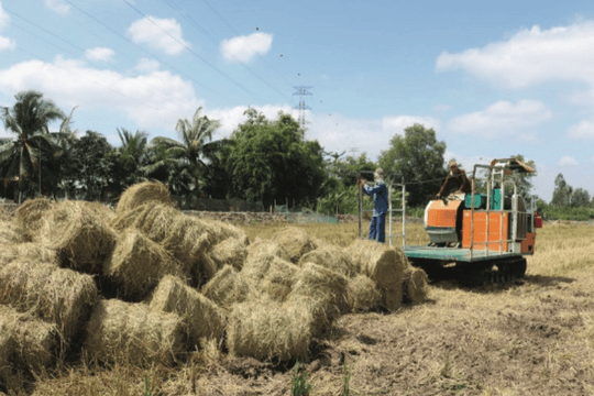 Biến phụ phẩm nông nghiệp thành máy “hút” CO2 tự nhiên
