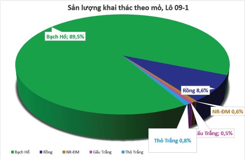 Chiến lược nâng cao hệ số thu hồi dầu (EOR) các mỏ dầu khí của Liên doanh Việt - Nga Vietsovpetro
