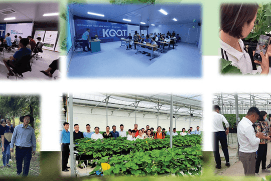 Câu lạc bộ Đổi mới sáng tạo ngành rau, hoa, quả: Thúc đẩy đổi mới sáng tạo trong nông nghiệp